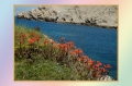 fornells, menorca, fornells,-3